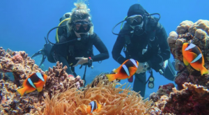 Młodzieżowy Obóz w Egipcie Sharm el Sheikh i Kair W kraju faraonów Wylot z Katowic (all inclusive) 2026