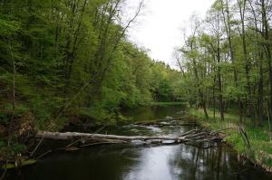 1-DNIOWA WYCIECZKA SZKOLNA DO DRAWIEŃSKIEGO PARKU NARODOWEGO