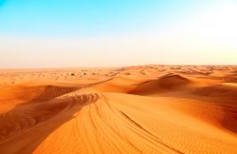 Wycieczka Sztuka targowania Arabia Saudyjska i Bahrajn 2025