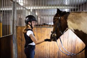 Zimowy Obóz Jeździecki Niestępowo 2026