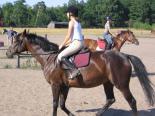 Nowęcin 2023<br>Obóz konny dla początkujących (11-18 lat) Jeździeckie ABC,<br> Dla tych którzy chcą sprawdzić czy polubią jazdę konną