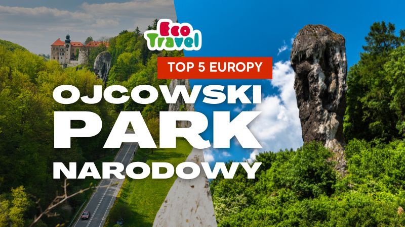 Wycieczki Szkolne po Ojcowskim Parku Narodowym - trend, który warto wykorzystać